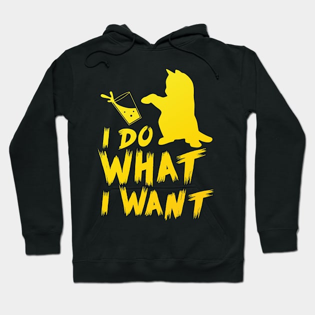 I Do What I Want Hoodie by folidelarts